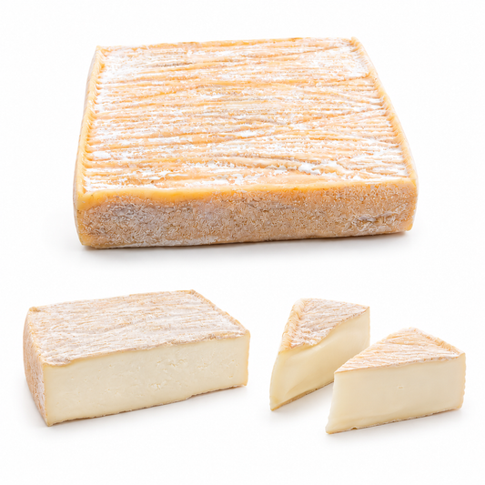 Saporoso - Formaggio di Bufala a Crosta Lavata